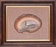 Картина из камня "Лошадь" Агат, яшма, шунгит Ручная работа (в зависимости от наличия камня) инфо 3466f.