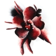 Брошь "Черно-красный цветок" (Войлок, металл, бусины) Ручная авторская работа помощью иглы или мыльного раствора инфо 13833f.